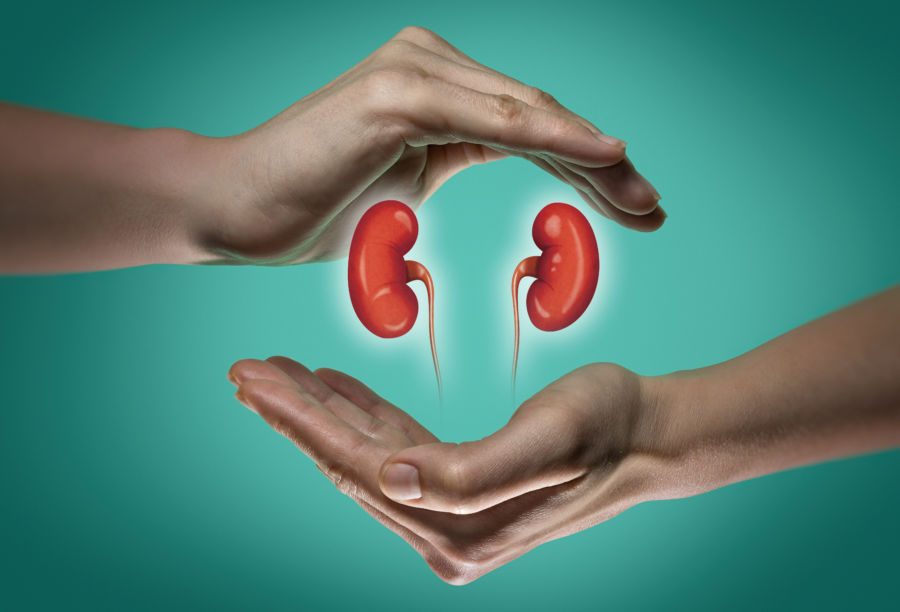 Dnešní Světový den ledvin připomíná, jak moc je zdraví cenné!