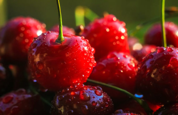 Chutné, šťavnaté a zdravé třešně: Studie poodhalují, jak mohou pomoci udržet diabetes na uzdě