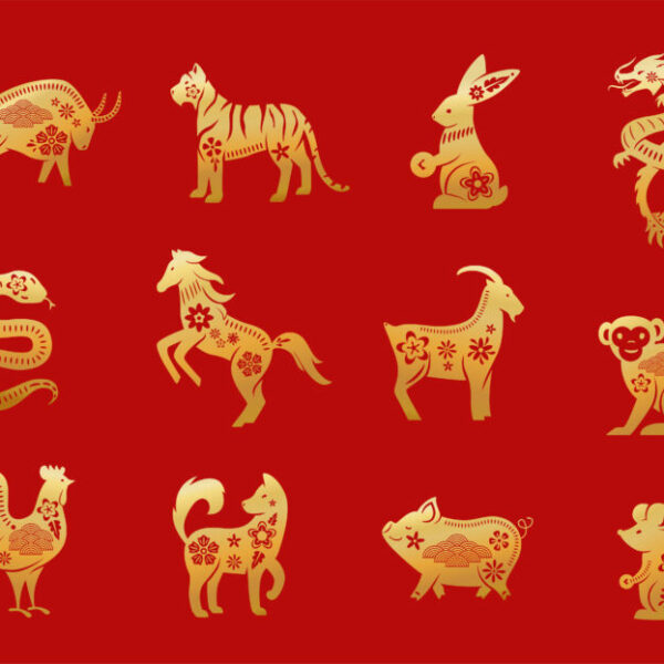 Čínský horoskop 2023 podle Jaroslava Vydržela: Kůň tento rok uspěje, a to jak ve vztazích, tak v podnikání