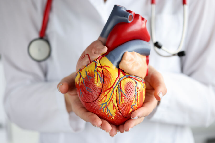 Správná kardiovaskulární prevence může zachránit životy
